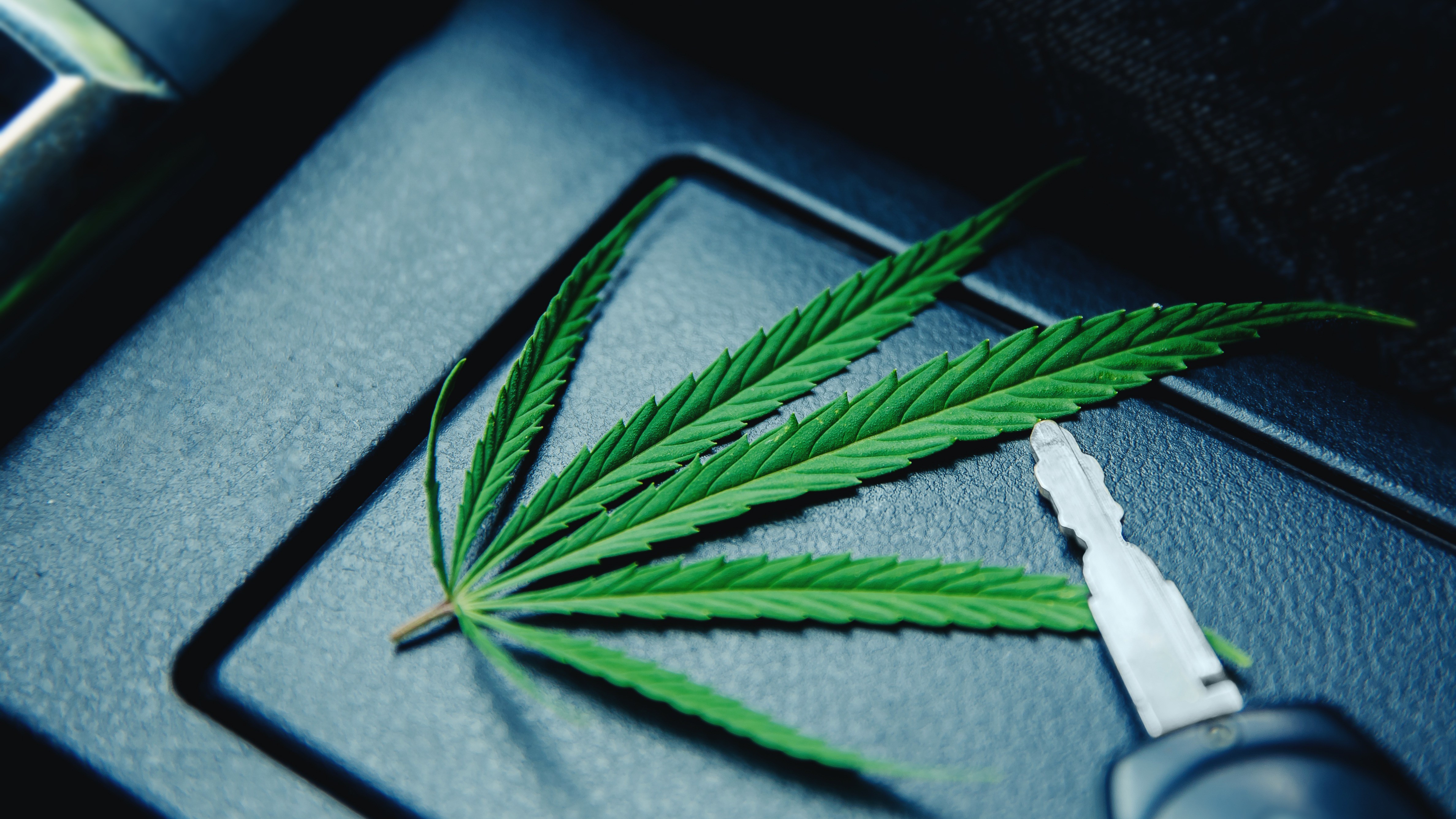 Header Kiffen oder fahren 16:9 Ein Autoschlüssel und Cannabis auf einem Armaturenbrett.