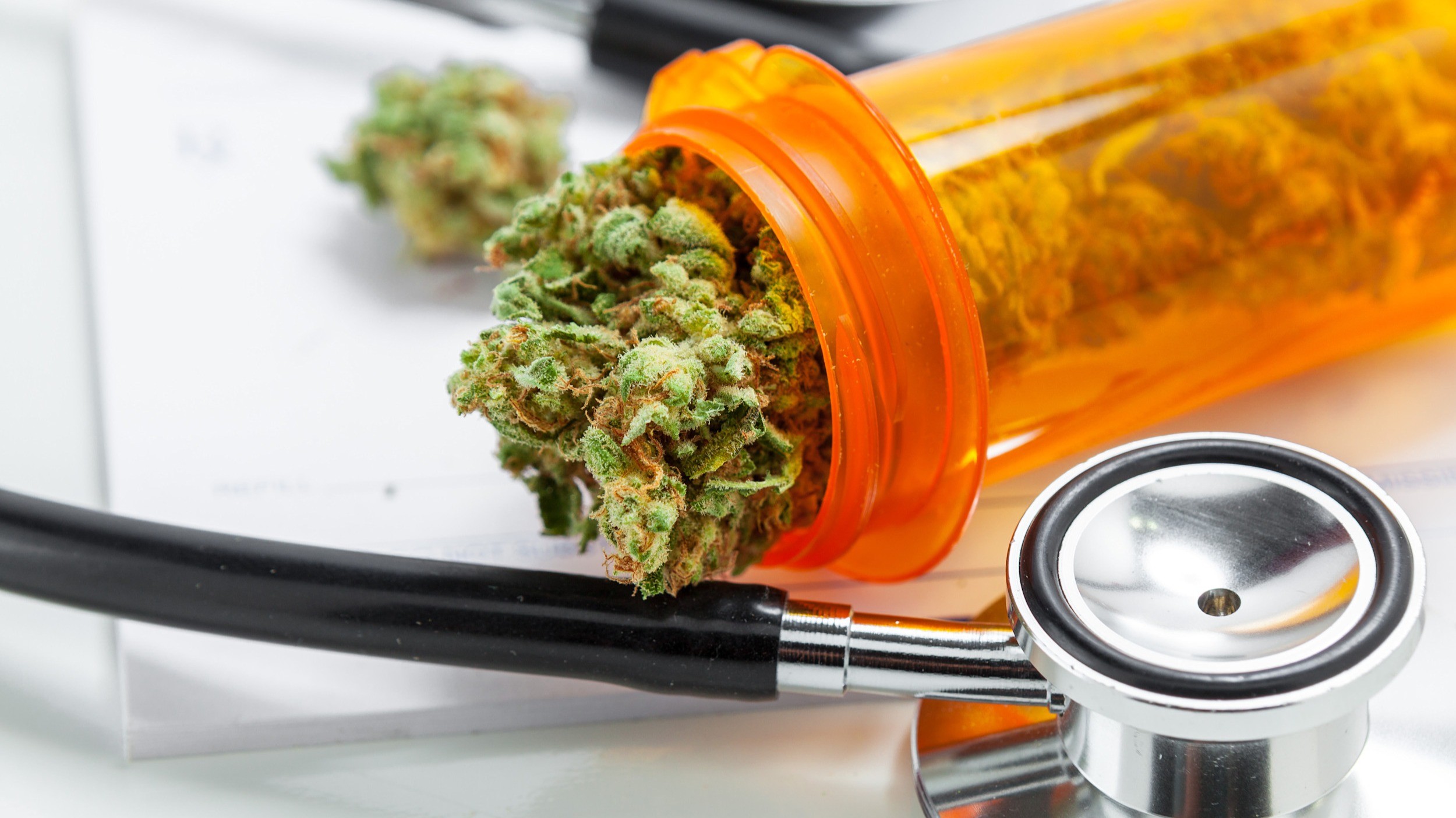 Öle, Kapseln oder getrocknete Blüten: Die Art der Einnahme von medizinischem Cannabis kann beeinflussen, wie exakt Patientinnen und Patienten den Wirkstoff THC dosieren können, um Nebenwirkungen zu vermeiden. 