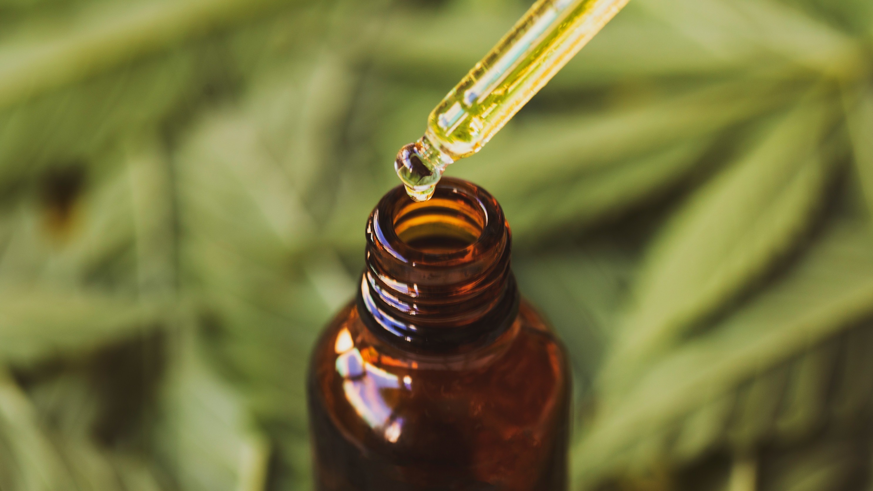 THC, CBD, Legal Highs - CBD-Öl 16:9 Ein Glasfläschchen mit einer Pipette, die eine hellgrüne Flüssigkeit enthält: Es ist CBD-Öl. Im Hintergrund sind unscharfe Cannabisblätter.