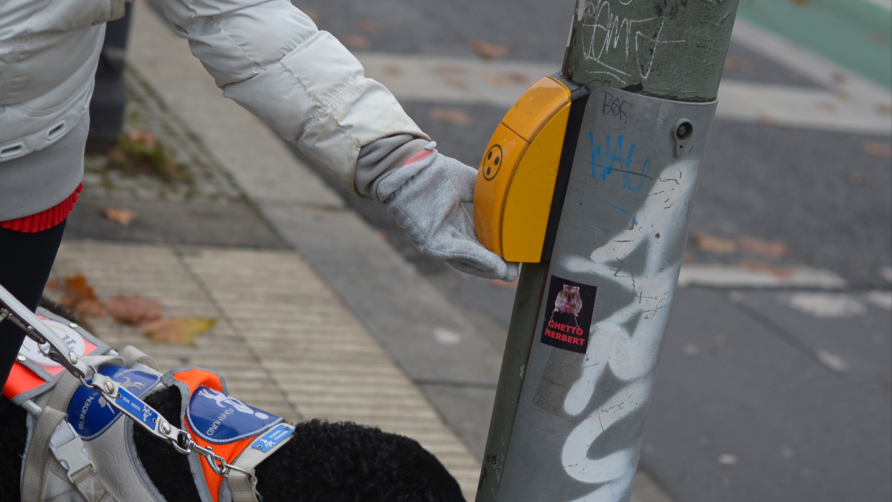 Blindenführhunde Ampel mit akustischem Signal Zu sehen ist Silkes Hand, die den Knopf für akustische Signale einer Ampel betätigt.