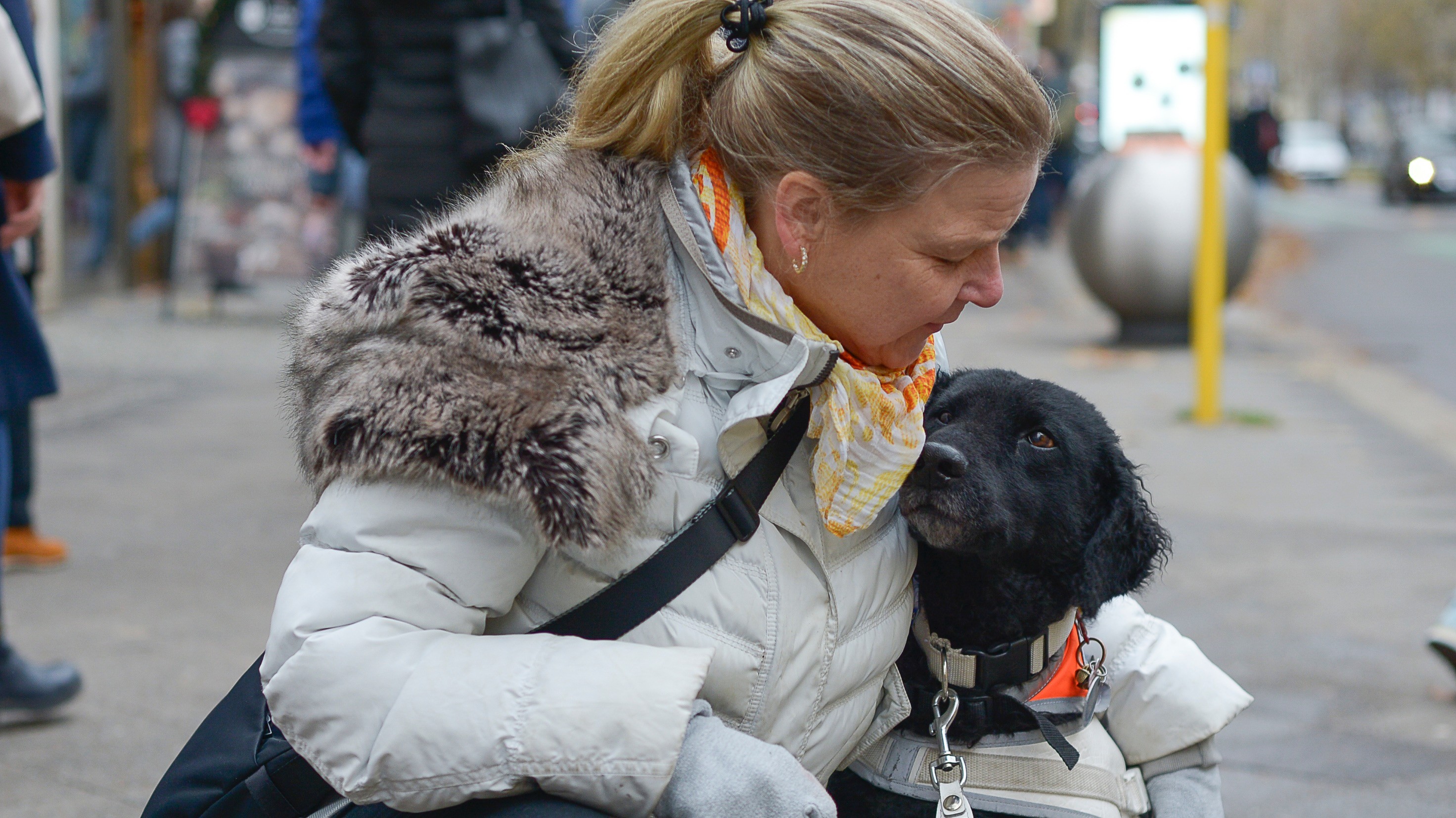 Blindenführhunde Silke und Chepi Zu sehen sind Silke und ihre Hündin Chepi auf einem Fußgängerüberweg. Silke hat den Arm um Chepi gelegt.