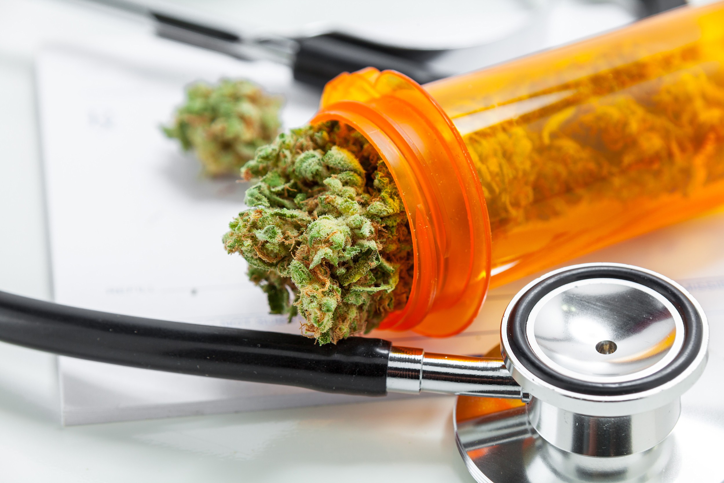 Öle, Kapseln oder getrocknete Blüten: Die Art der Einnahme von medizinischem Cannabis kann beeinflussen, wie exakt Patientinnen und Patienten den Wirkstoff THC dosieren können, um Nebenwirkungen zu vermeiden. 