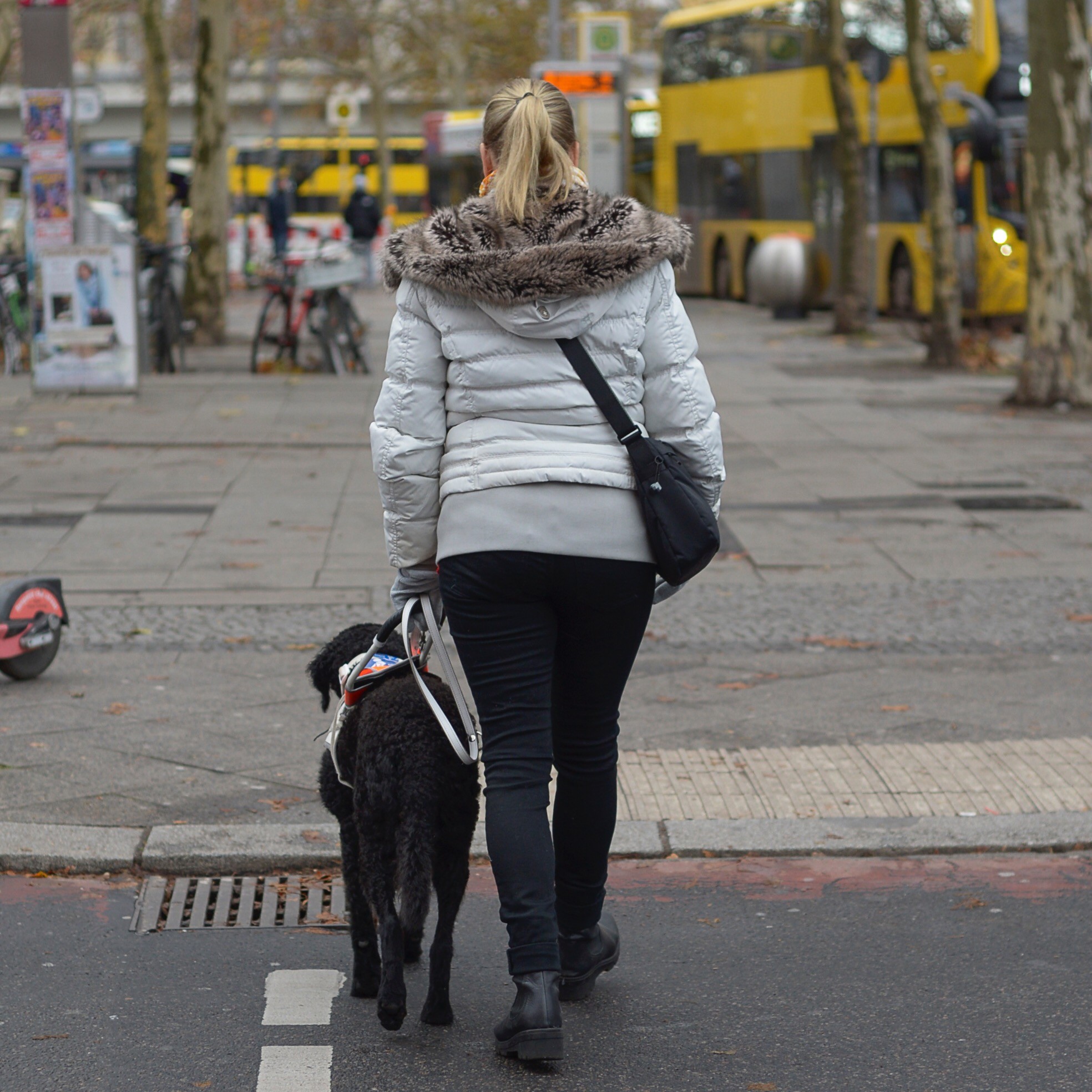 Blindenführhunde Silke und Chepi Straße überqueren Zu sehen sind Silke und ihre Assistenzhündin, wie sie gemeinsam eine Straße überqueren.